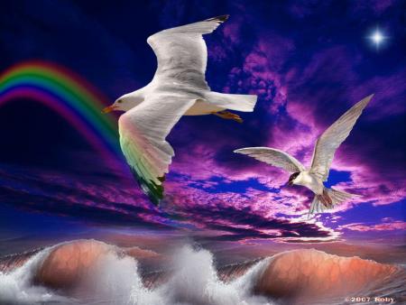 les arcs en ciel..dieu que c'est beaux...et les oiseaux toute aussi beaux