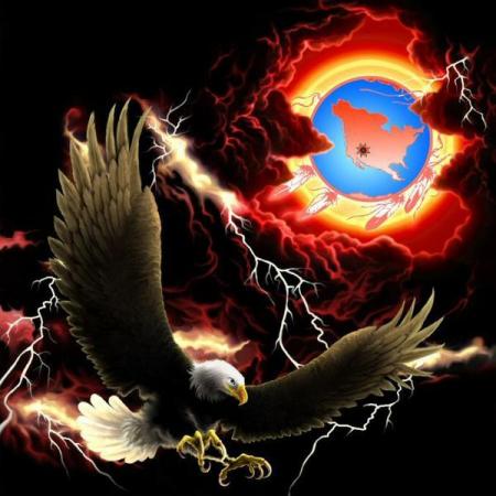 l'oiseau ma amener un message