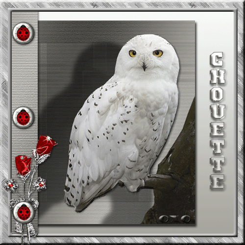 l'amitie c'est quoi moi je trouve que c'est chouette