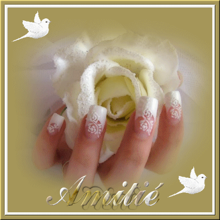 pour l'amitie.une jolie rose givree.....