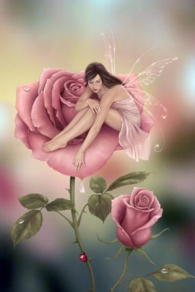 elle est bien belle cette image!!