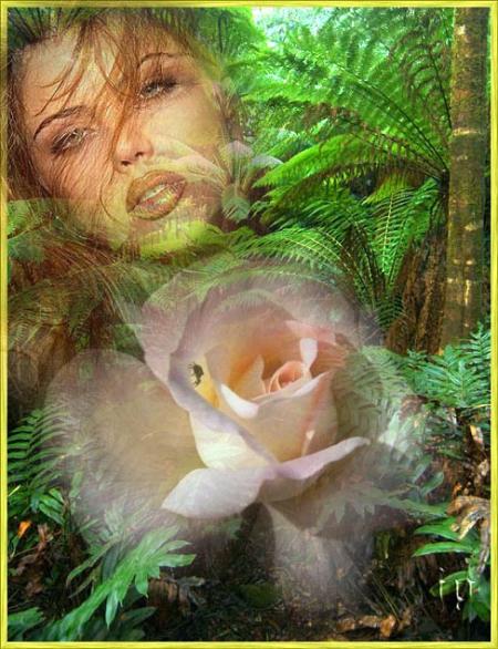 dans le jardin de ton coeur