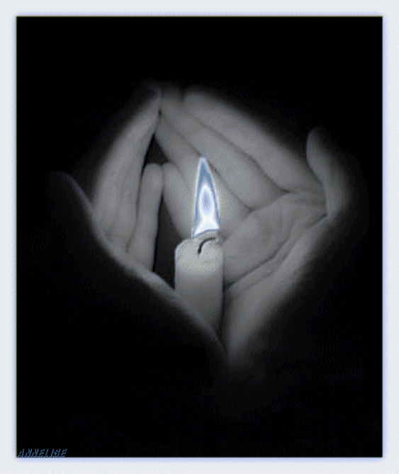 la lumiere ...sur la vie