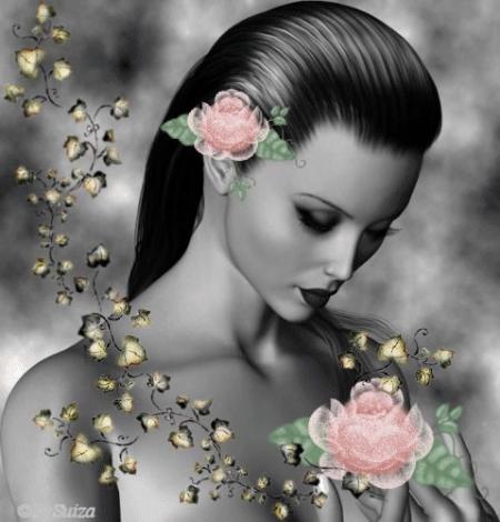 une jolie rose ..rose je vous l'offre