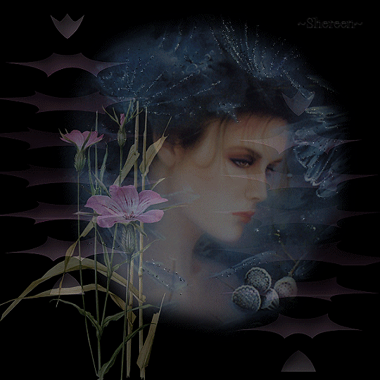 toc toc toc..il y � quelqu'un??