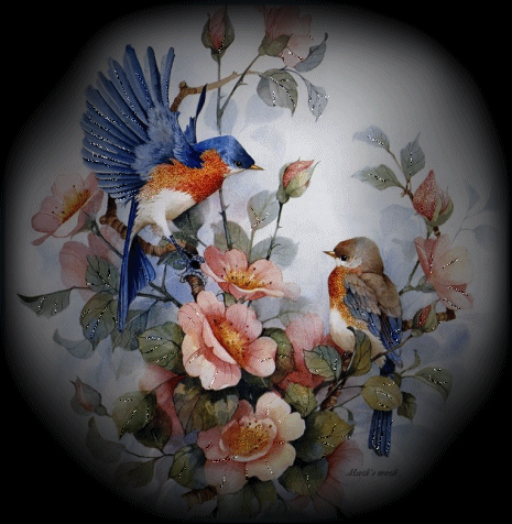 j'aime les entendre siffler le matin 