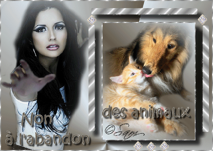 petit message de sylvie.