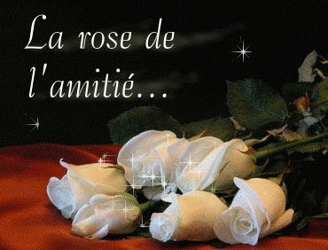 rose de l'amitie.tellement belle !!!