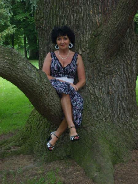 dans le val des dames parc de gretz.