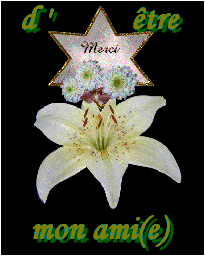 virtuelle,mais tellement vraies!!!!!