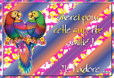 merci stephane pour ton amitie et ta gentillesse