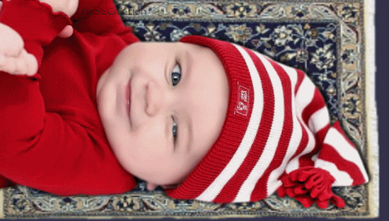 trop mignonne cette image