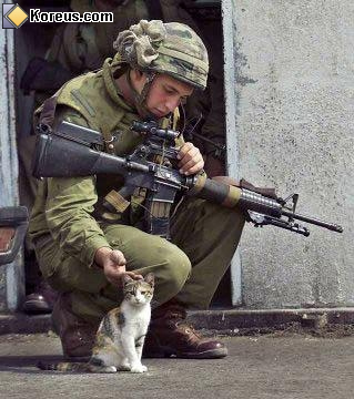 jamais on ne diras assez!!! faite l'amour pas la guerre