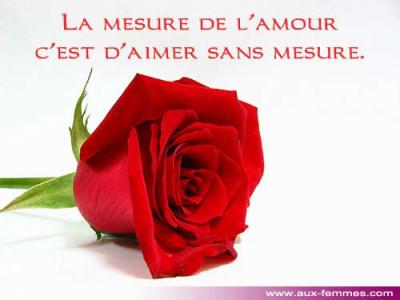 les roses je ne m'en lasse pas;