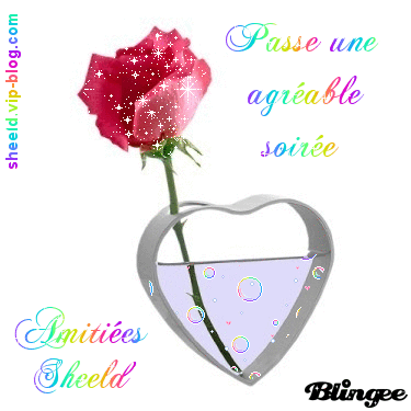 merci pour ta superbe rose...elle brille aussi dans mon coeur