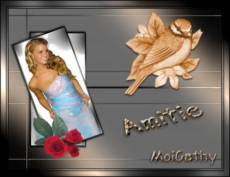 kikou le ptit oiseau de moicathy