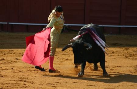 completement contre,et vous?