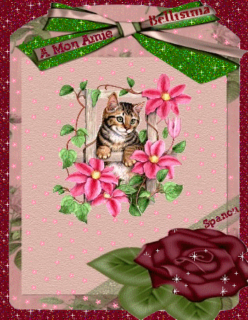 crea de mon ami jose..;(spanou)