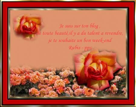 c'est gentil ce que tu me dit ma rubis-pps..merci