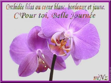 un lundi devinez quoi!!!et bien il fait soleil...