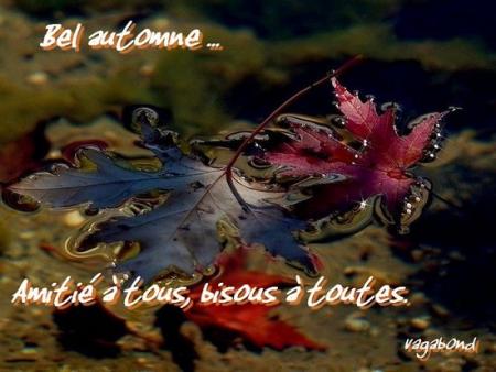 et oui c'est l'automne .merci vagabond