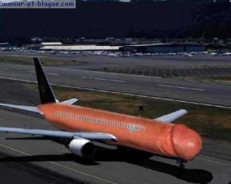 s'envoler en plein vol,oui ou non?