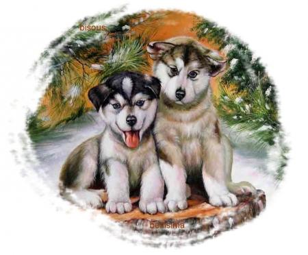 bonne semaine � vous...