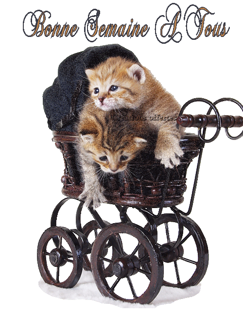 aller tous le monde debout c'est repartis.quel poisse.