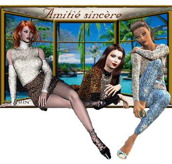 mes ami-es tes ennemi-es